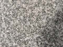 Billigare Ny G654 Mörkgrå Granit