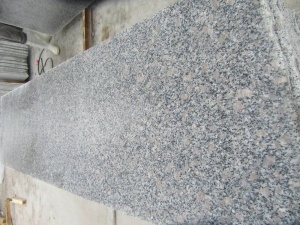 Polerad pärlblomma G383 granitväggsplattor