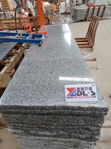 porslin ljusgrå g623 granitplattor